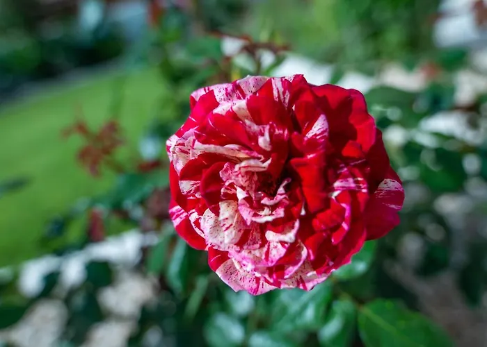 Appartement Monte Smith Luxury Garden With Parking Rhodes City